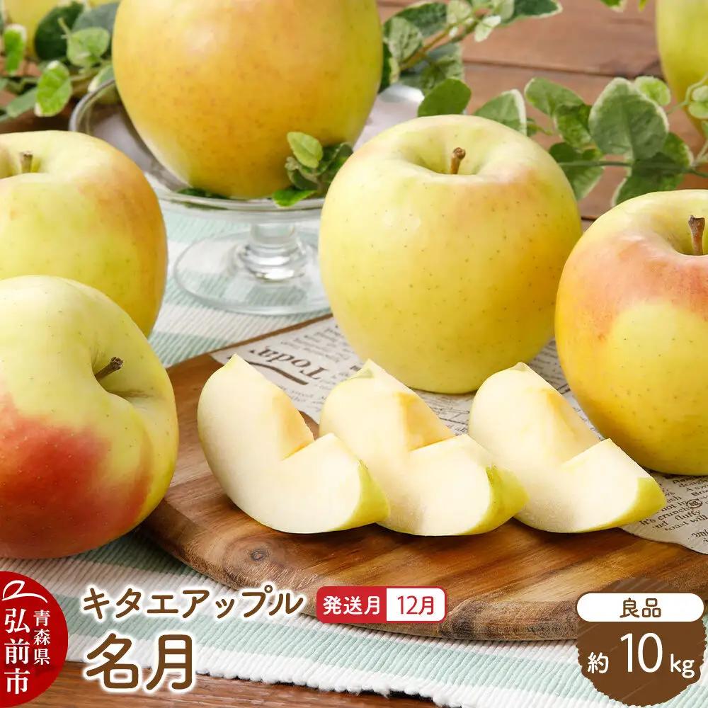 【26年12月発送】りんご 名月【良品】約10kg キタエアップル 青森県 弘前市 先行受付