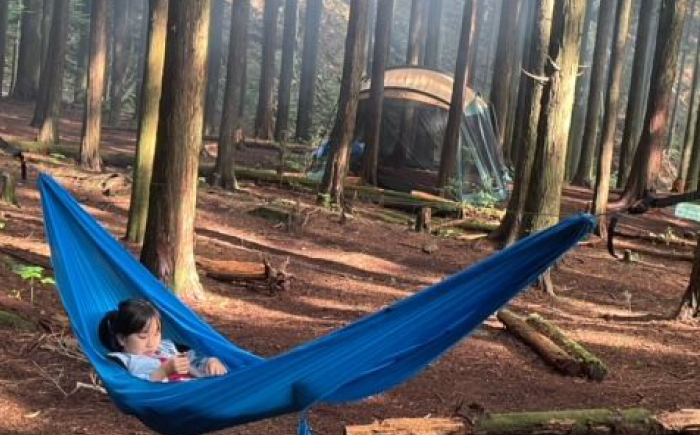 しらたかキャンプ場 利用券 (3000円分) アウトドア チケット 岐阜 恵那市 / しらたかキャンプ場 [AUFA001]