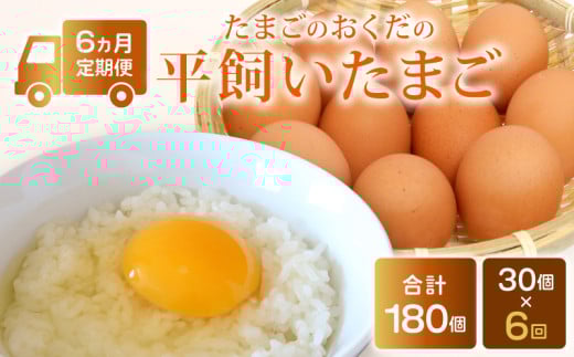 【定期便6回】平飼い卵 30個入り (10個×3パック) | たまごのおくだ 卵 タマゴ 鶏卵 たまごかけごはん TKG オムレツ 卵かけご飯 たまご焼き おいしい 人気 おすすめ  高知県 南国市