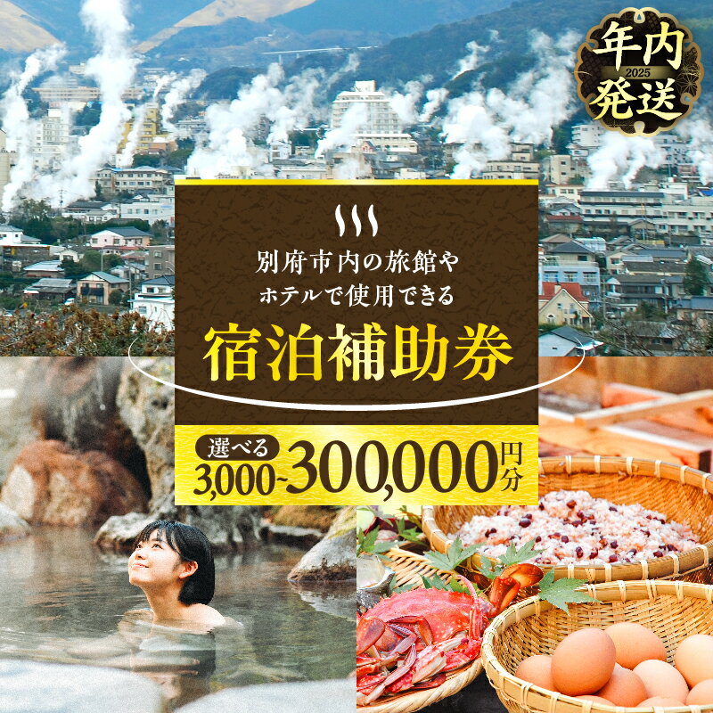 大分県別府市 宿泊補助券 3,000円分