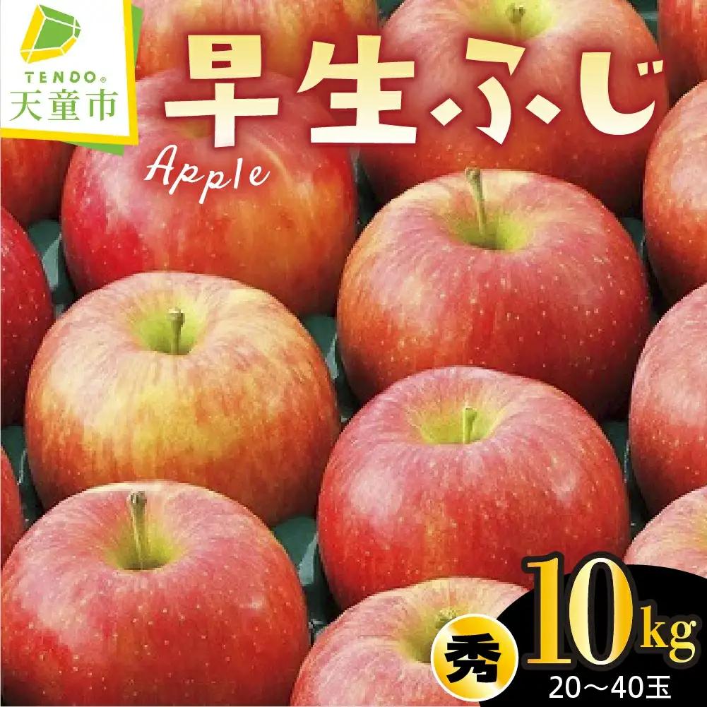 りんご ( 早生ふじ ) 10kg フルーツ 果物 山形 08-01-099