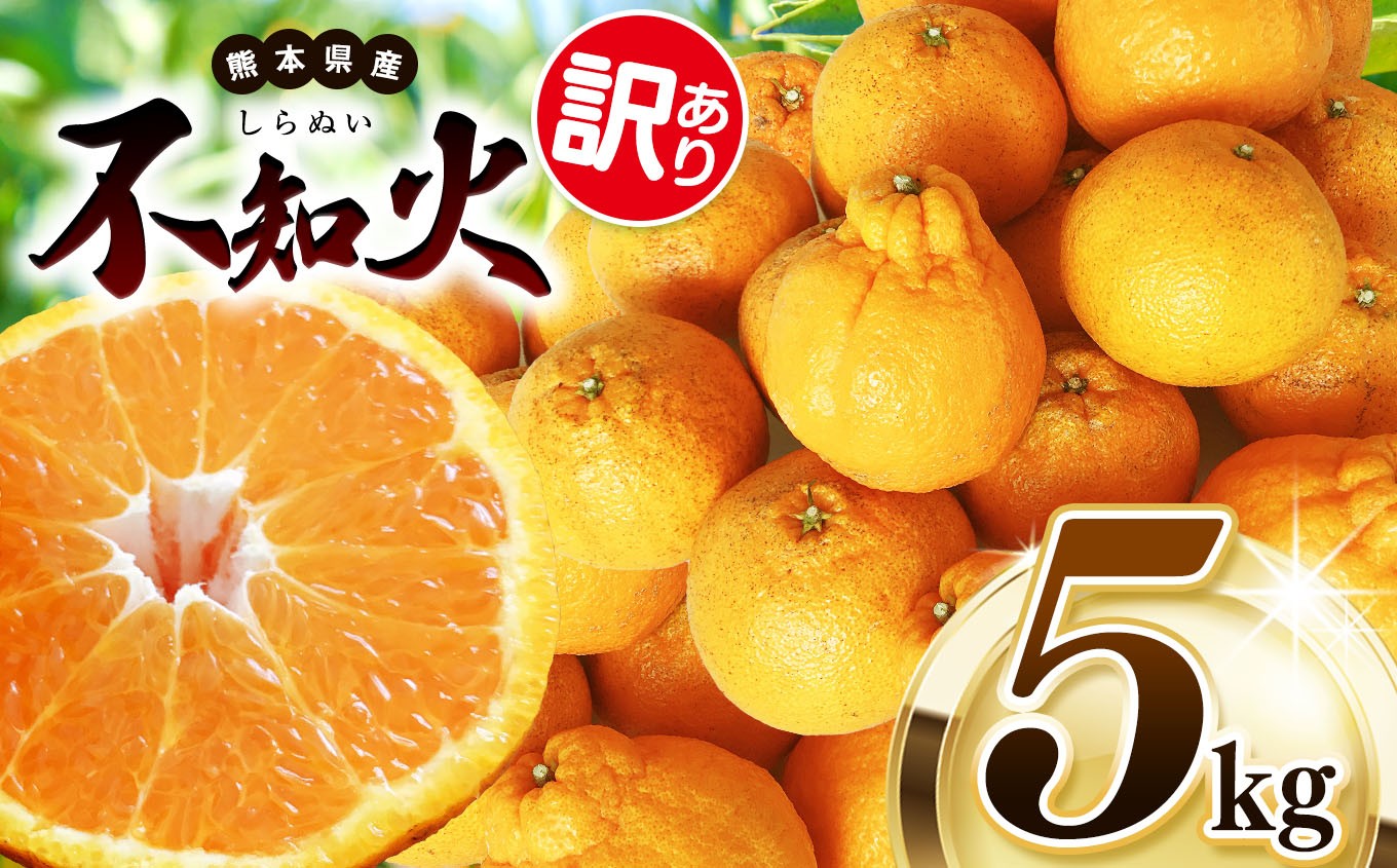
            【 先行予約 】 訳あり 不知火 約 5kg 池田ファーム | 柑橘 みかん フルーツ 和製 わけあり 訳アリ 家庭用 果物 熊本県産 熊本県 熊本 くまもと 和水町 なごみまち なごみ ミカン 柑橘類 果物 フルーツ 
          