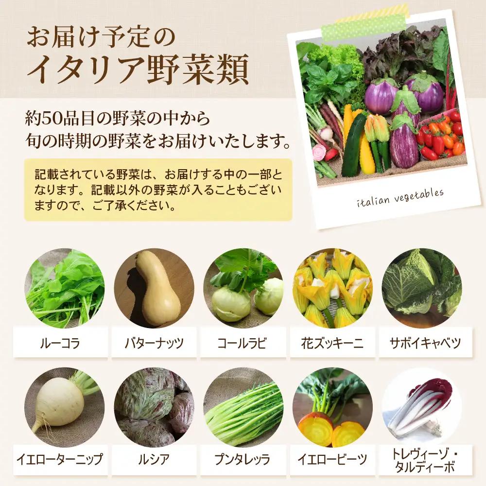 野菜 かほくイタリア野菜 旬のおまかせBOX 8-10種 野菜