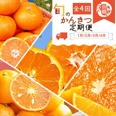 ふるさと納税 日高川町 【発送月固定定期便】紀州和歌山産旬のご家庭用柑橘セット(みかん・不知火・せとか・清見)全4回