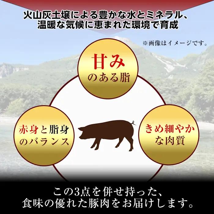鹿児島県産豚 肩ロース スライス 生姜焼き・炒め物向け(1.2kg) 豚肉 肩ロース スライス【小迫ストアー】A1045