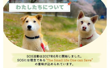 那須ハイ＆りんどう湖　SOS保護犬活動　お礼品なし〔B-131〕｜保護犬 支援 動物愛護 応援 地域応援 愛犬 愛犬家 動物 ペット 社会貢献 保護活動 那須 栃木県 那須町