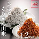 【ふるさと納税】 しらす 1kg ちりめん山椒 100g しらす佃煮 100g セット しらす干し 釜揚げしらす ちりめん山椒 しらす佃煮 国産 魚介類