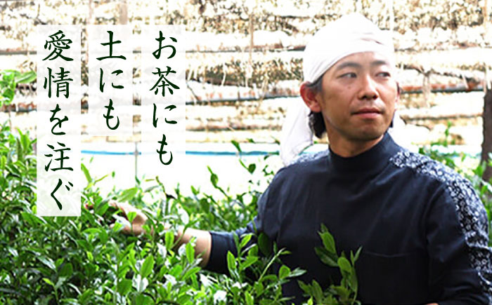 【奥八女星野村】八女茶 高級煎茶 深蒸し茶 100g×1袋＜株式会社ベネフィス＞那珂川市 [GED024]