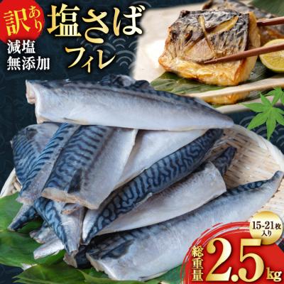 ふるさと納税 気仙沼市 訳あり 減塩 塩サバ フィレ Mサイズ 総重量 2.5kg [20565687]