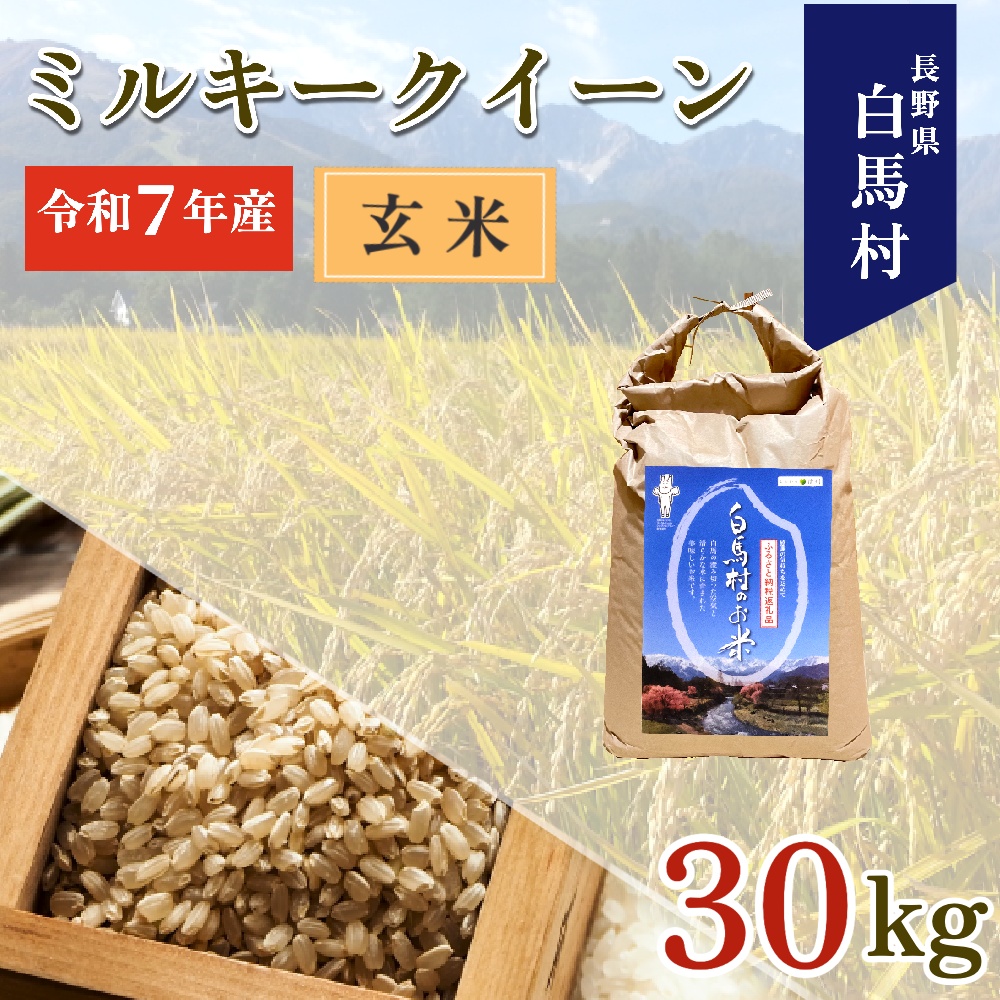 ＜令和7年産＞ ミルキークイーン＜玄米＞30kg /長野県白馬村 信州 2025年産 米 お米 ご飯 ごはん 送料無料【B0030142】