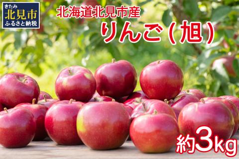 【予約：2024年10月から順次発送】北海道北見市産りんご( 旭 )約3kg ( りんご リンゴ 林檎 果物 フルーツ 期間限定 )【044-0003-2024】