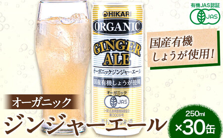 ジンジャーエール 30缶 光食品 
