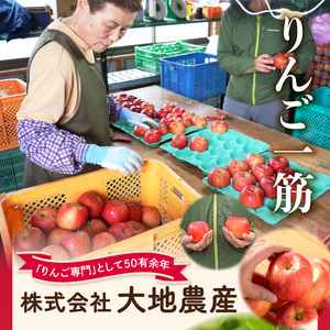 《先行受付》【2027年3月発送予定】 サンふじ約5kg・秀品【大江町産・山形りんご・大地農産】 028-034