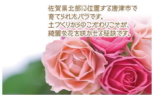 土作りにこだわり環境に配慮しています。そのため
バラ本来の鮮やかな花色や香りを豊かに楽しめます。
ご自宅用に、ギフトに。
