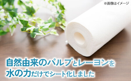 キッチンロールPro　L　10本セット　滋賀県長浜市/株式会社橋本クロス[AQAD008] キッチンペーパー キッチンペーパー キッチンペーパー キッチンペーパー キッチンペーパー