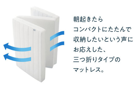 【マット枕セット】エアウィーヴ スマートZ01 シングル＆ピローS-LINE[AQBV164] 寝具