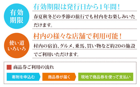 産山村観光商品券 10,000円 熊本 阿蘇