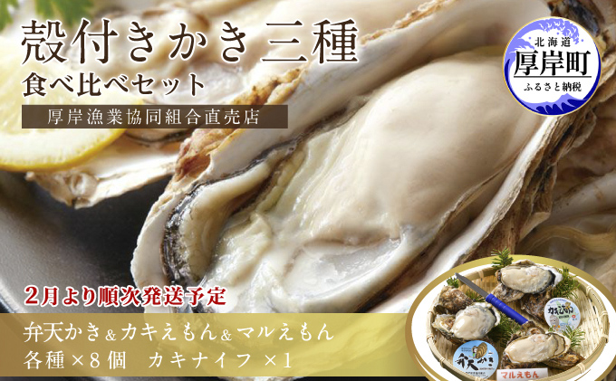 2026年2月発送 北海道 厚岸産 殻かき三種 食べ比べ セット 魚