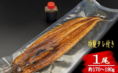 【高知満喫定期便】厳選!!藁焼きかつおのタタキ1節と高知県産うなぎの蒲焼き1尾セット×6回定期便