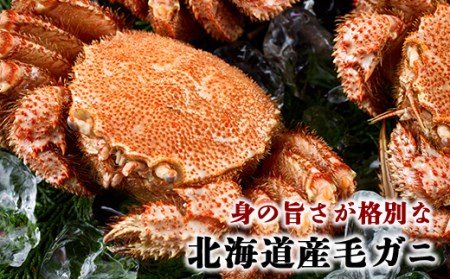 順次発送 前浜茹で毛がに2尾（約500～550g） ＜株式会社 鳥潟＞ かに カニ 蟹 ガニ がに 森町 ふるさと納税 北海道 毛蟹 毛かに 毛ガニ 毛カニ mr1-0013