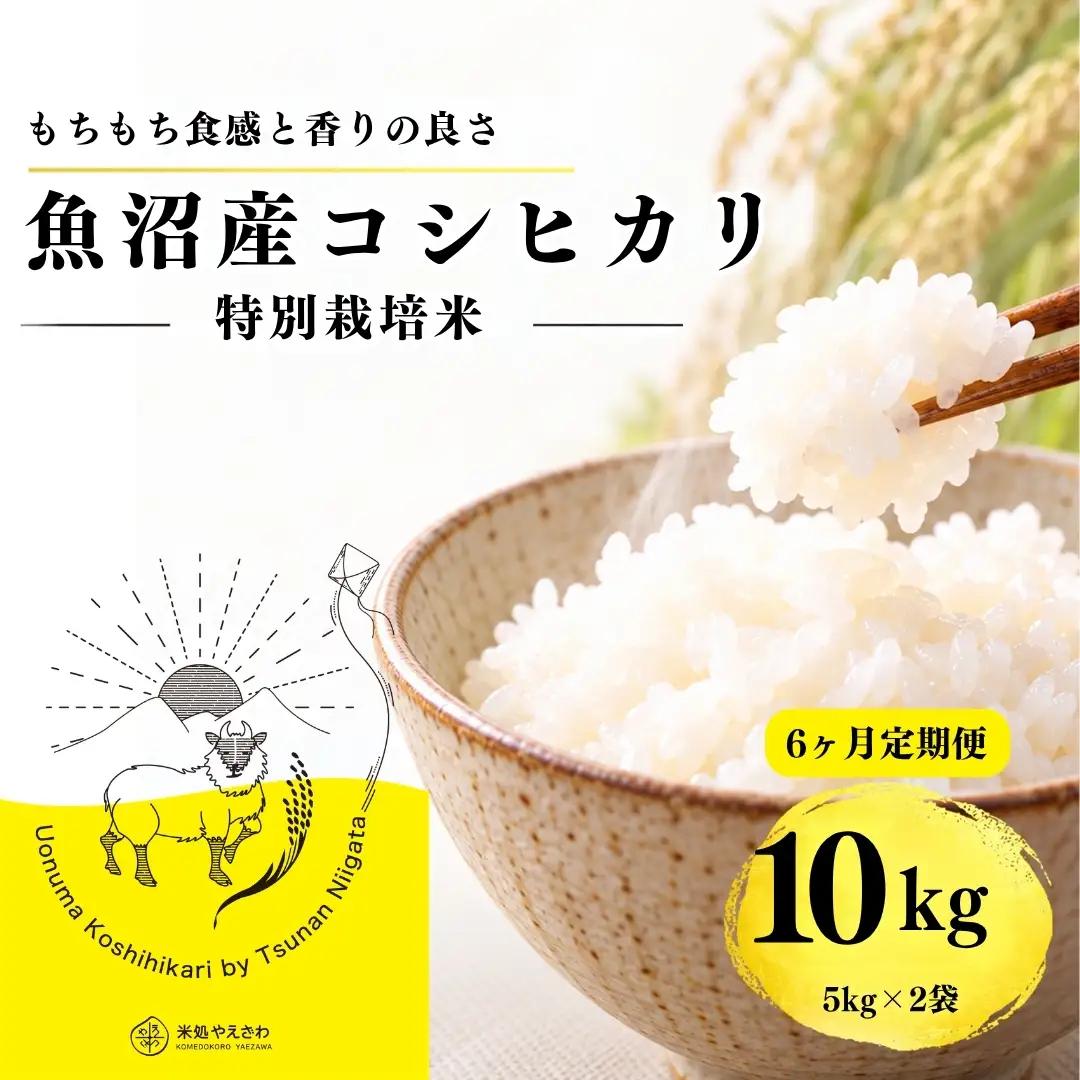 【6ヶ月定期便】【令和8年産 コシヒカリ】魚沼産コシヒカリ 特別栽培米 10kg(5kg×2袋) | 新潟県産コシヒカリ 魚沼産こしひかり 米 お米 こしひかり 白米 精米 ブランド米 津南町 米処やえざわ