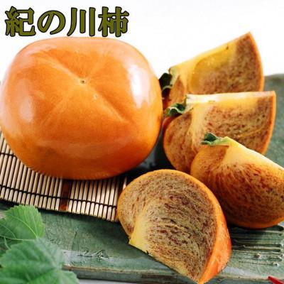 ふるさと納税 広川町 【希少】紀の川柿(たねなし)約1.8kg〜2kg 秀品【広川町】
