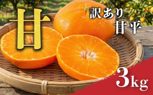 甘平 訳あり 3kg 【順次発送中】 |  みかん 柑橘 みかん かんぺい ワケアリ 柑橘 みかん 果物  おすすめ 高級 愛媛三大柑橘（ 紅まどんな せとか 甘平 ) 人気 お取り寄せ グルメ ギフト ご当地 送料無料 愛媛県 松山市