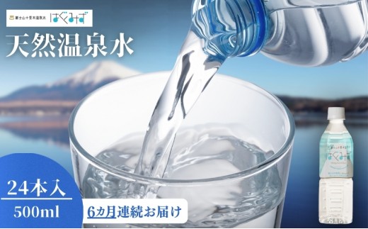 はぐくみず　500mlペットボトル24本入り 6ヶ月連続お届け [№5812-0062]