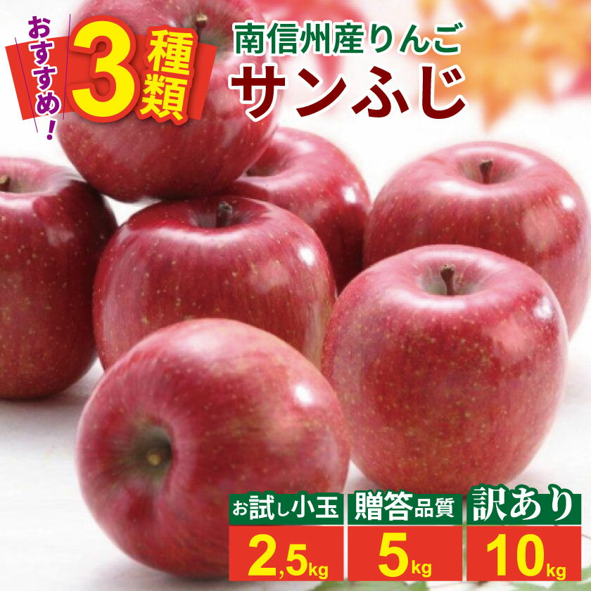 【ふるさと納税】南信州産りんご　サンふじ　選べる内容量！約2.5kg（小玉）or 約5kg（贈答） or 約10kg（訳あり）／11月下旬～12月中旬ごろ配送 //長野県 南信州 贈答 ギフト お歳暮 ふじ フジ さんふじ 新鮮 林檎 リンゴ サンふじ サンフジ