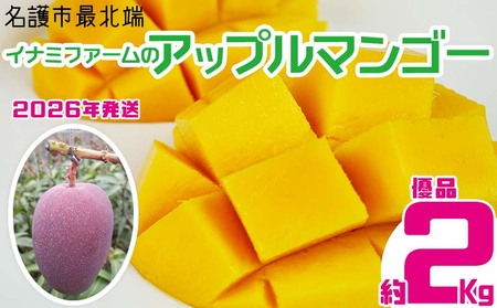 【2026年発送】名護市最北端イナミファームの　優品　アップルマンゴー 約2kg フルーツ 果物 期間限定 数量限定 マンゴー 南国 プレゼント お土産 おみやげ ギフト くだもの 沖縄 季節 青果 デザート おすすめ 人気 冷蔵 夏 スイーツ