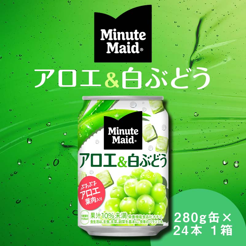 【ふるさと納税】ミニッツメイドアロエ＆白ぶどう 280g×24本 1ケース 缶 280g ミニッツメイド アロエ 白ぶどう ジュース 果実飲料 ギフト 贈答 贈り物 お中元 お歳暮