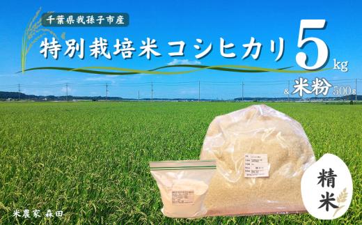 冷めても美味しい！ 特別栽培米 コシヒカリ 5kg（精米）と米粉のセット 農家直送 千葉県産