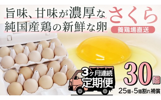 ＼3ヶ月連続お届け／純国産鶏【さくら】純たまご 30個入り 破損保証5個を含む【たまご 卵 玉子 鶏卵 純たまご 採れたて 新鮮 卵 農地直送】(AJ028)