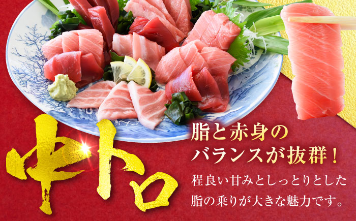 天然 本まぐろ大トロ＆中トロ 各2柵（計約900g） 【横須賀商工会議所 おもてなしギフト事務局（本まぐろ直売所 横須賀本店）】 [AKAK110]