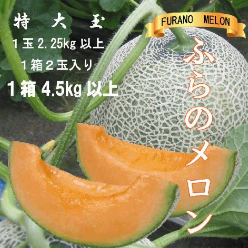 2027年夏発送【先行受付】 ふらのメロン 赤肉 特大玉2玉 計4.5kg以上 富良野メロン 赤肉 めろん 北海道 甘い 大きい 果物 フルーツ