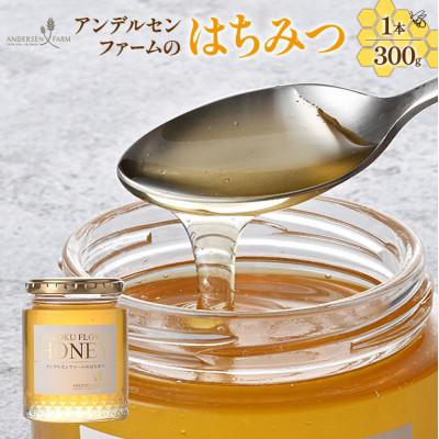 ふるさと納税 北広島町 アンデルセンファームのはちみつ1個(300g)