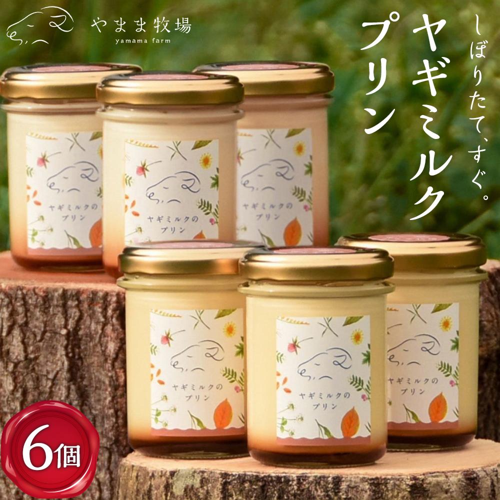【ふるさと納税】ヤギミルクのプリン（6個 ギフト箱入り） | 菓子 おかし スイーツ デザート 食品 人気 おすすめ 送料無料