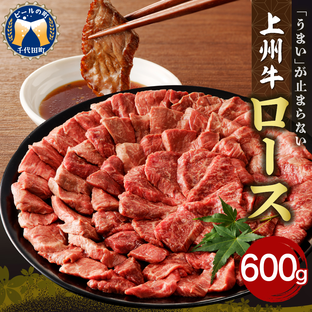 牛肉 ロース 【上州牛】 600g  群馬 県 千代田町 ch013-005rh