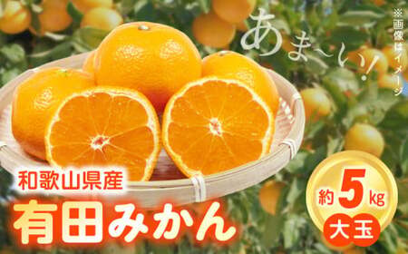 【2026年先行予約】（大玉）和歌山県産 有田みかん 5kg ひとつひとつ手選別で厳選！生産者から直送_ZN6011n