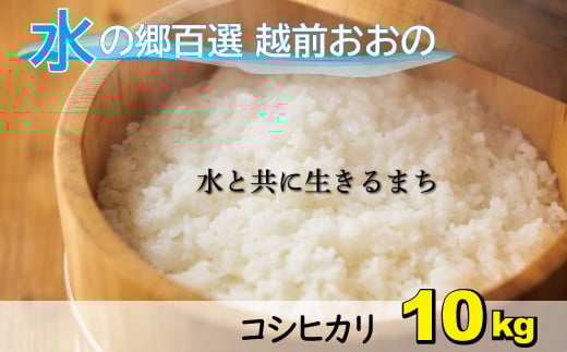 【令和7年産 新米】こしひかり（福井県大野市産）エコファーマー米（白米）10kg（5kg×2袋）