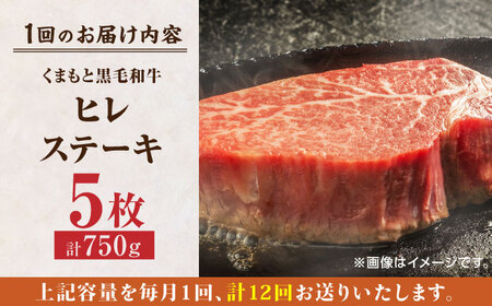 【12回定期便】くまもと黒毛和牛 ヒレステーキ 計750g（5枚）【馬刺しの郷 民守】 和牛 お肉 肉 ステーキ ヒレ ヒレステーキ  [ZBL111]