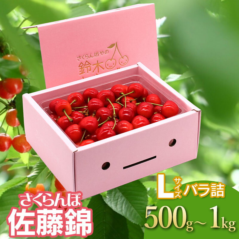 【ふるさと納税】【令和8年産先行予約】さくらんぼ 佐藤錦 バラ詰めLサイズ 選べる容量［500g〜1kg］ 鈴木さくらんぼ園 | 山形県 鶴岡市 楽天 返礼品 フルーツ 果物 くだもの 取り寄せ サクランボ 特産品