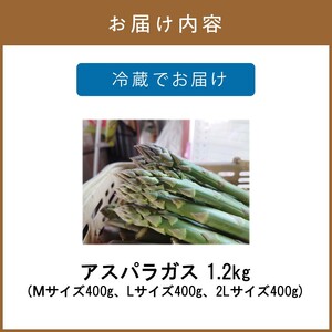 【予約：2026年4月中旬から順次発送】ハウス栽培 グリーンアスパラ 1.2kg ( アスパラガス 野菜 新鮮 朝採れ )【231-0001】
