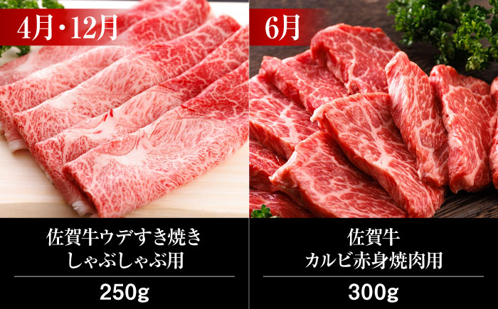 【全6回・偶数月にお届け】 A5ランク 佐賀牛 霜降り 食べ比べ 定期便 約2-3人前 総計1.95kg 10万コース 隔月発送 /焼肉どすこい [UCC008] 牛肉 肉 ステーキ ローストビーフ