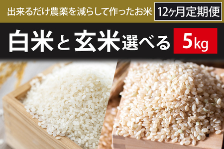 BI-80 【2024年9月下旬より順次発送】12ヶ月定期便【できるだけ農薬を減らして作ったお米】こしひかり　5kg×12回（白米または玄米）