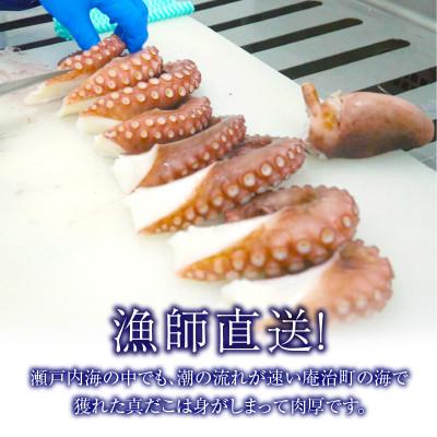 ふるさと納税 高松市 瀬戸内地だこの一本足 3パック |  | 01