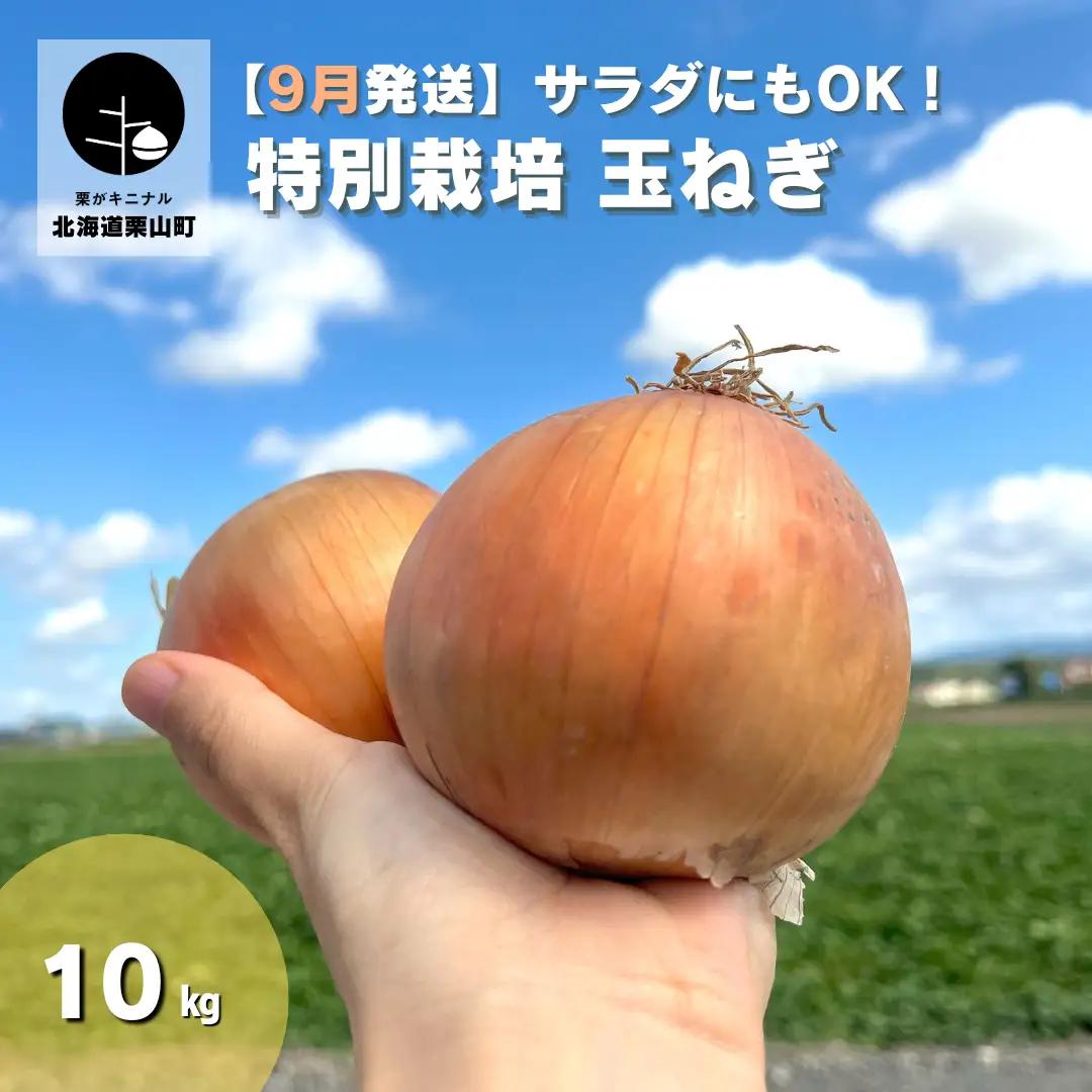 【9月発送】サラダにもOK！特別栽培玉ねぎ10kg