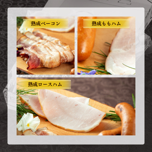 IFFA金賞イイジマ工房セット600g  肉のイイジマ（DU-91-1）