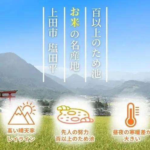 こしひかり 3kg 米 塩田平 こしひかり 
