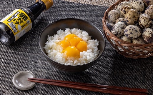 
【健康的な朝食に】生産量日本一！豊橋のうずら卵かけごはんセット
